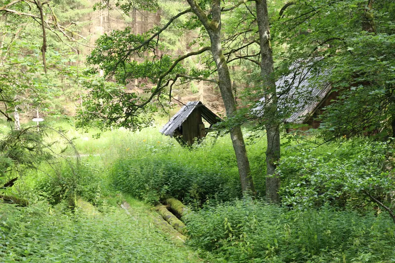 Zelené Julinčino údolí s malou dřevěnou stavbou mezi listnatými stromy